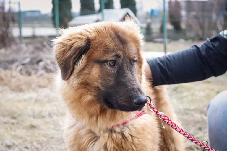 received_561738100246434