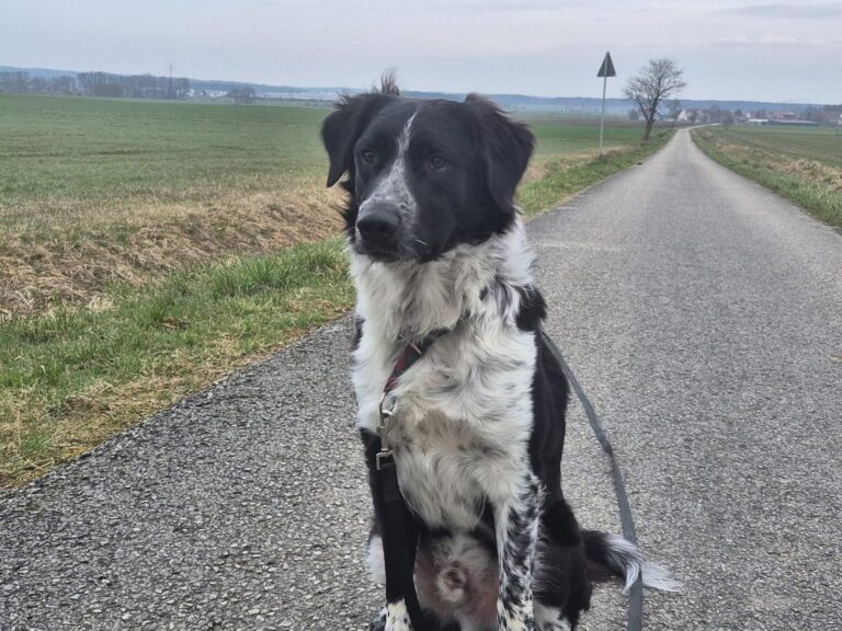 0ec89ad1-f005-4627-9f03-0a02b0cf1c53