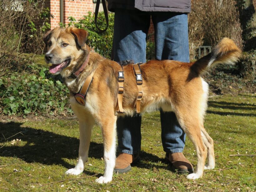 AYKO