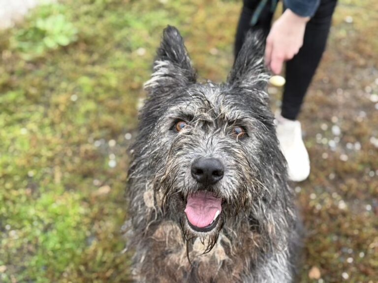 558015309_25602732252647096_8355595539975061268_n