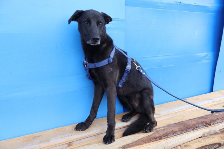 567224187_1158073979615417_7552785929169308016_n