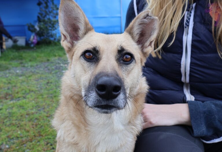 568657655_1158068852949263_7198125560544530078_n