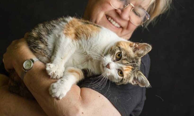 NELLI – FIV positiv