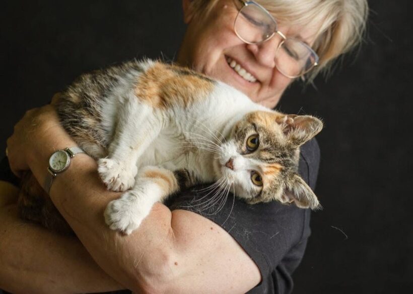 NELLI – FIV positiv