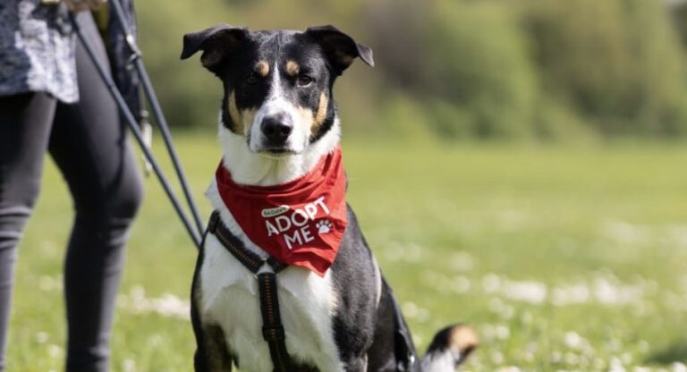 029c5aae-708a-4e0d-973d-7e1e3a0d4172