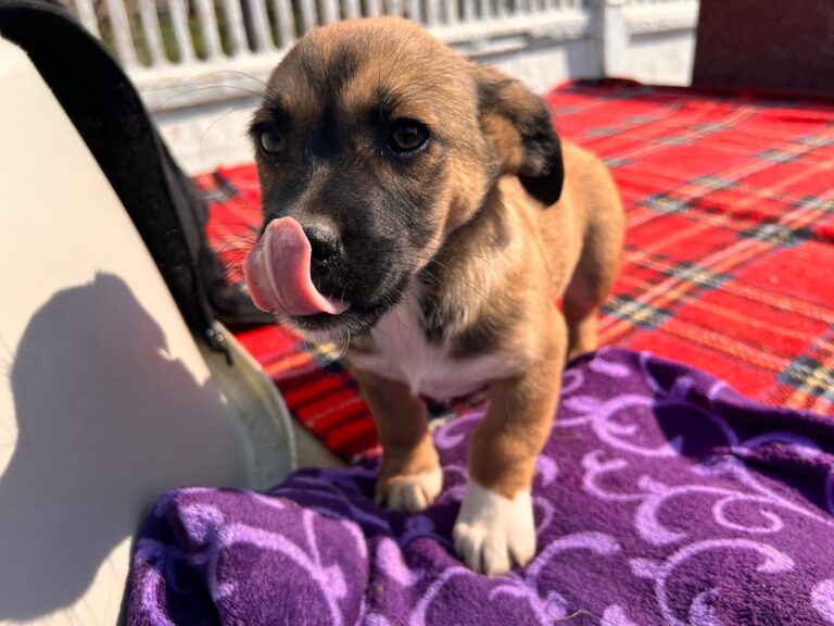 1cbc077e5565d5ba90b04cec9bf473be