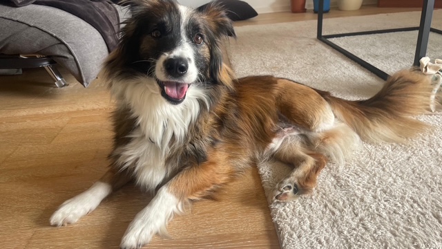 2e0afb47-9d40-438a-b4cc-61bdbc7256a6