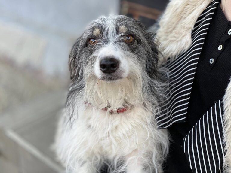 486851866_9366024173474059_6046595558266927752_n