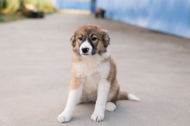 490134833_9589150351140395_3570603430392513540_n