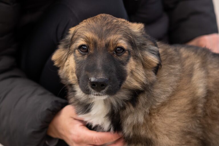 490222632_9571846162870814_2153406152690093868_n