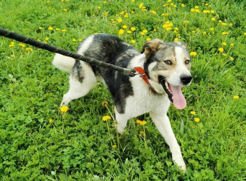 SCHRÖTHER SCHRÖTHER