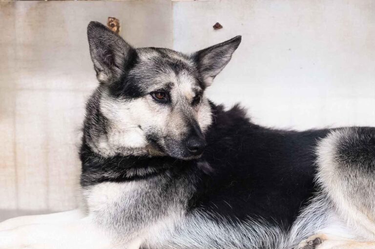 533864085_122136691088812415_4313922741847338739_n