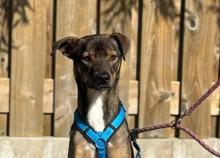 556916581_24600581539600664_1122388070108144892_n