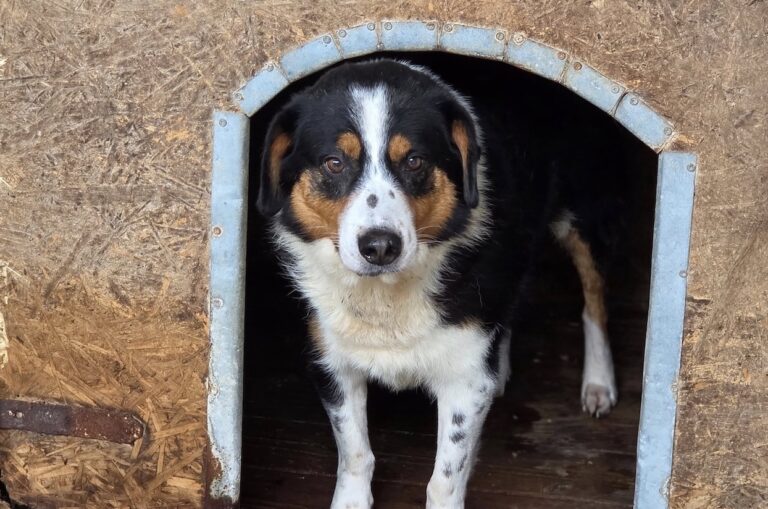 559003785_3388844661256418_7422811244369576540_n