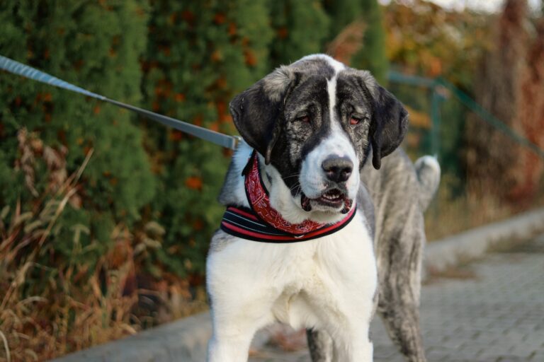 570310457_3147083532136428_4959276306629098643_n