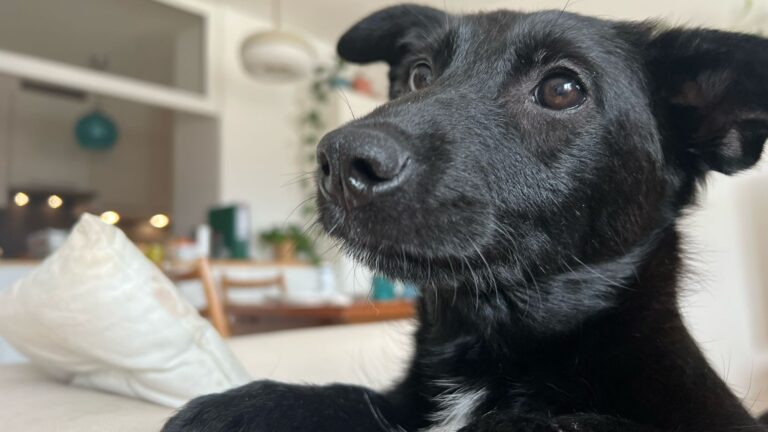 7ef4cf0c-d870-4e0a-bb1f-6d6aed40edaa