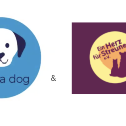 Osterfreude – Futteraktion mit HappyDog! 🐣🐾