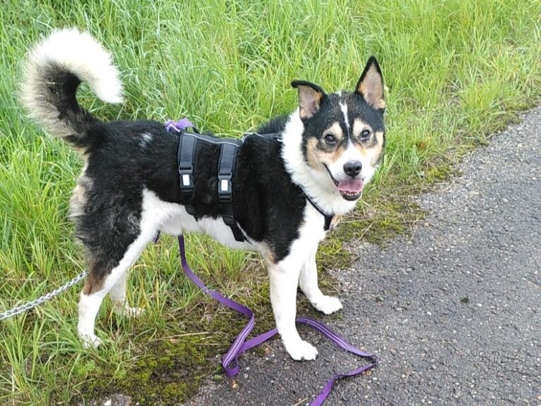 c6242c81356c42379e5578c204462159