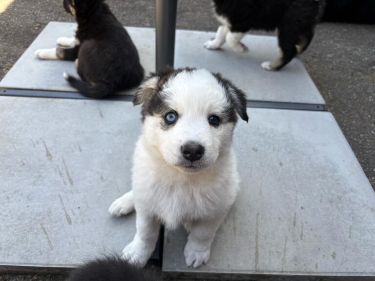 e07cdf8f-4167-4602-bcdb-fd3bd86a33cd