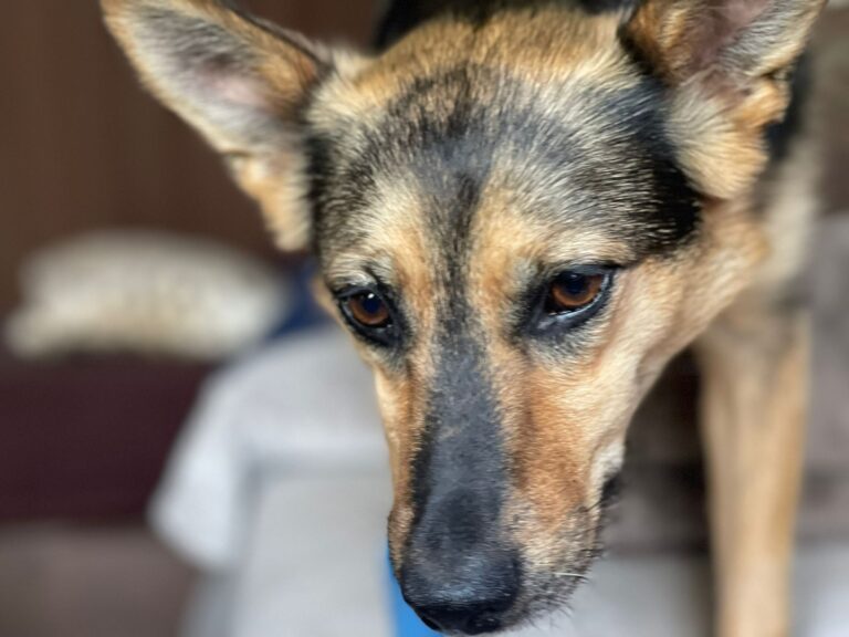 ee79ae35-7266-4932-8666-4a87557306d7