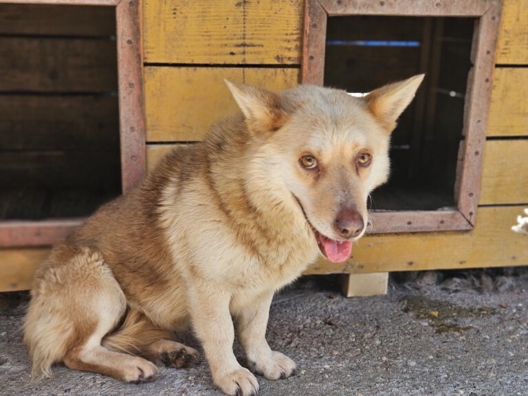 495022734_9736193813102714_3330847200476377601_n