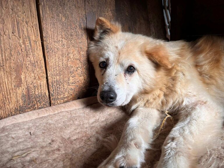 537183237_10238869569381665_5447017925133542640_n