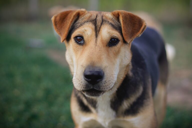 539864115_3086522598192522_550323301458782108_n