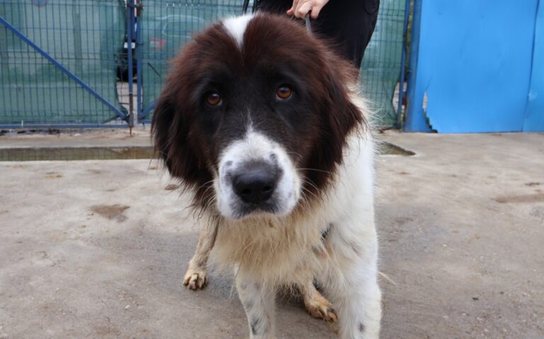 568692051_1158078909614924_6317282347649083281_n