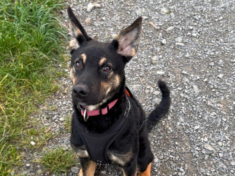 601354913_25255006474158164_346251940326755931_n