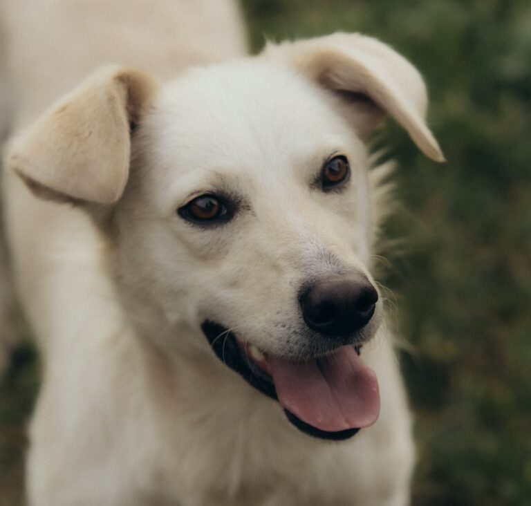 628191ae-ff74-411c-979f-69bfb0ef10c6