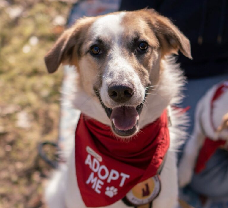 6cc39d8f-74d2-45d4-9355-6e600dbef349