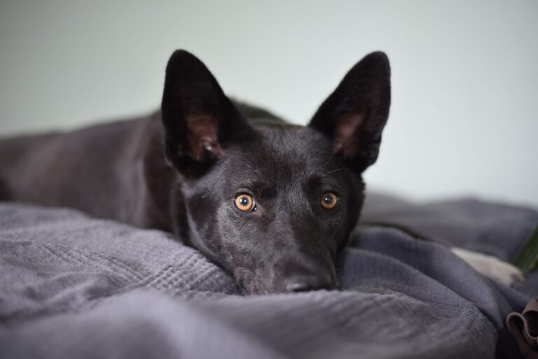 7119749c-7ee0-4d5c-8f72-8b92afbc77d6