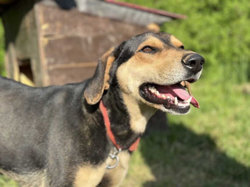 ZUZU