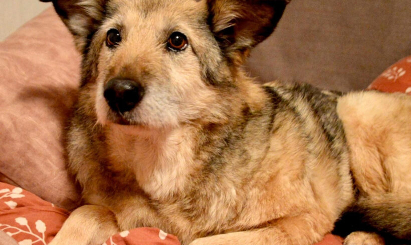 Unser Glücksherz, Lilibetha 🍀❤️ Unser Glücksherz, Lilibetha 🍀❤️