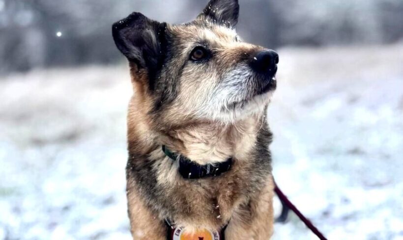 Unser Glücksherz, Lilibetha 🍀❤️