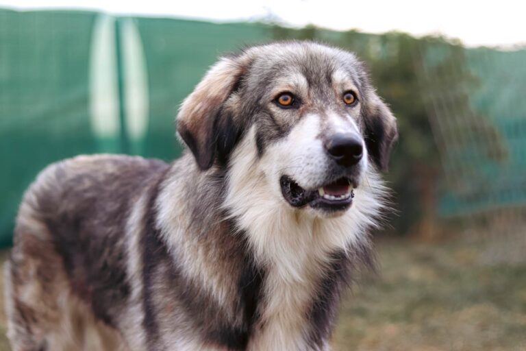 Messenger_creation_0DB2E73B-98FF-42C8-88DA-A5DFA2F164A1