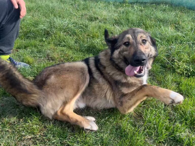 Messenger_creation_61E075D1-CD07-42D8-9FFA-4763B054A419