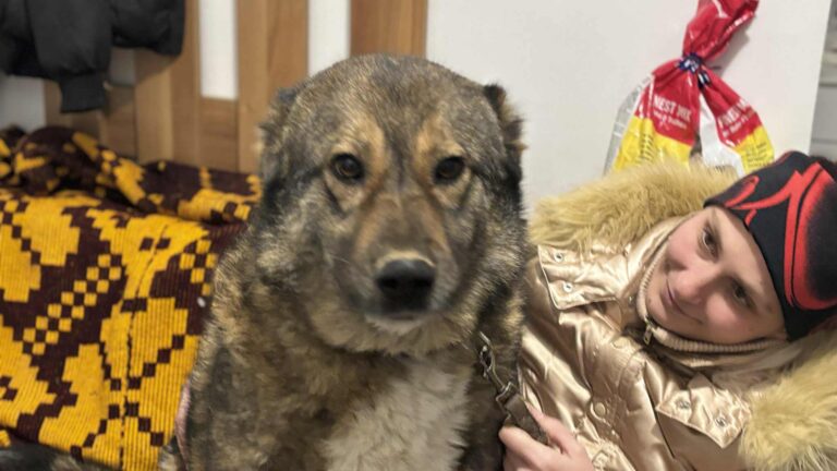 Messenger_creation_85B9A429-3430-4FEC-8D40-EFD91B60A103