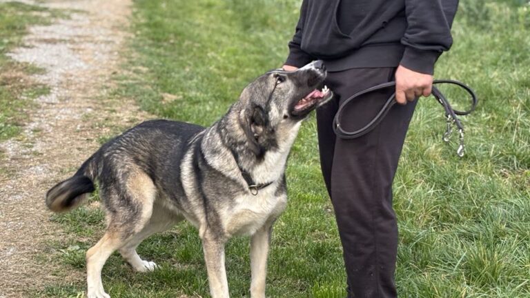 Messenger_creation_EF2054B7-F44F-41A3-8A41-15AF4A63A775