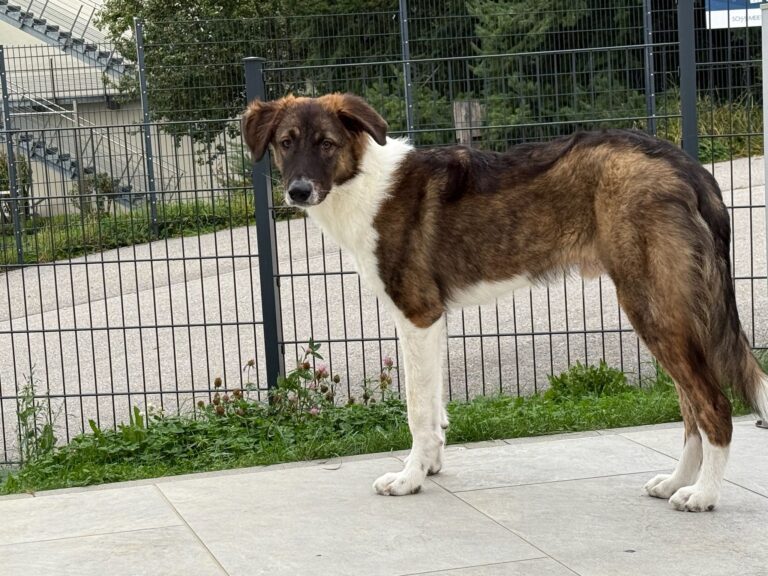 WhatsApp Image 2025-09-22 at 14.46