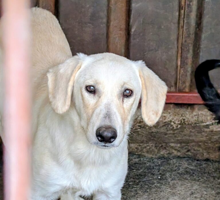 37149c8d-1139-40c7-bafe-e296a976ec38