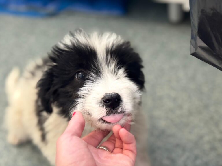 493879963_24108153882115894_8366878354937839839_n