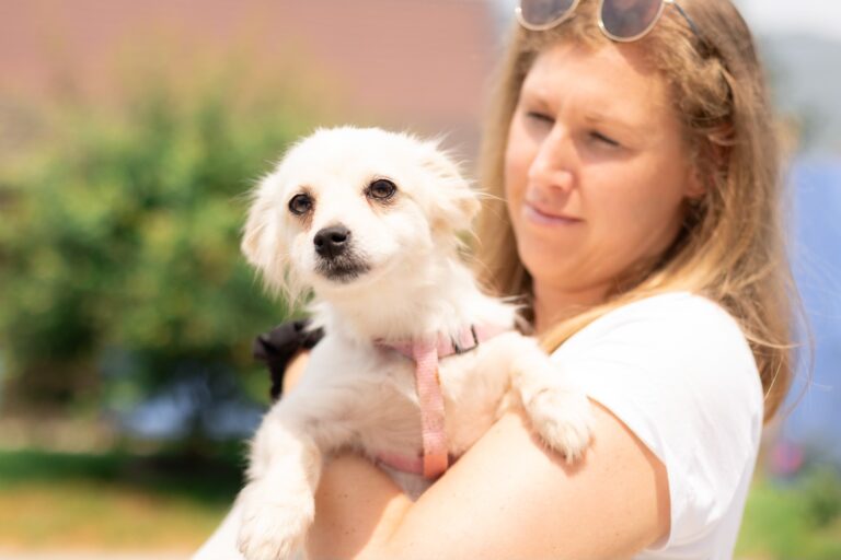 505353342_10040164876038938_5838951058985122968_n