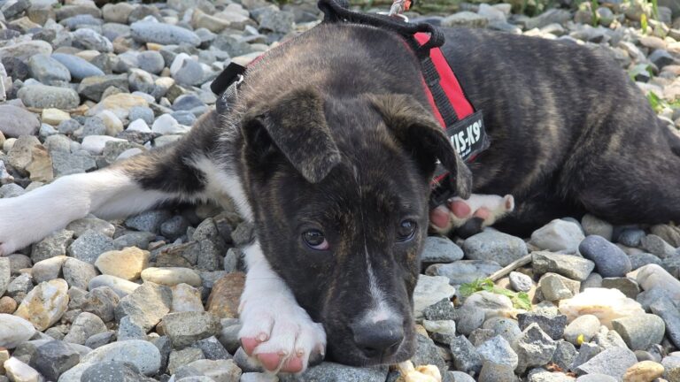 506628035_3156663361162618_5475561689477544265_n