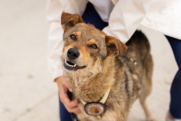 507786569_10059056450816447_1286719578355755560_n