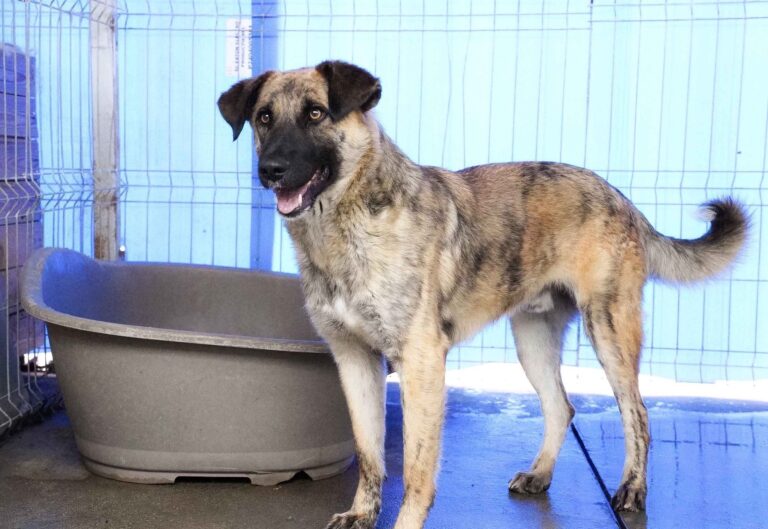 514341087_122136464258812415_2912748133210951572_n