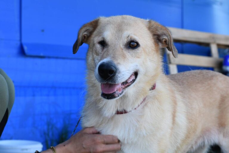 534198372_24238220512497020_6610409921841338495_n