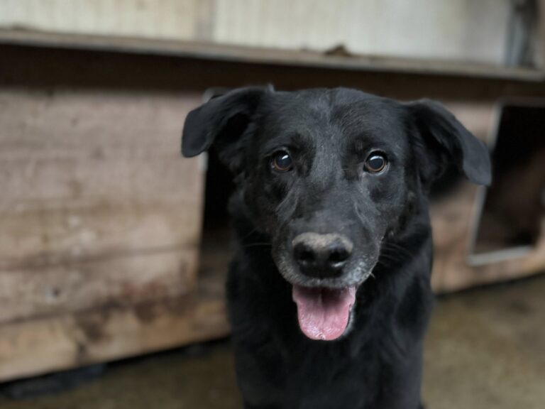 561739864_25635121056074882_7592451094154278056_n