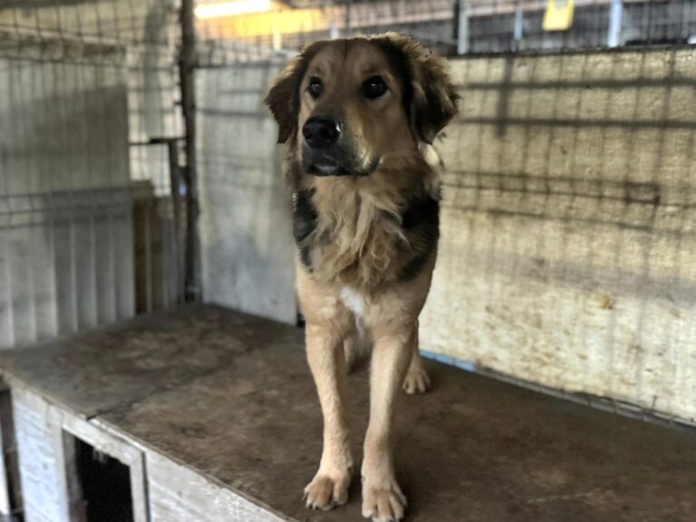 565216550_25629204956666492_5885142999849197550_n