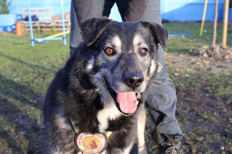 634119081_1244552330967581_3606334647954331421_n